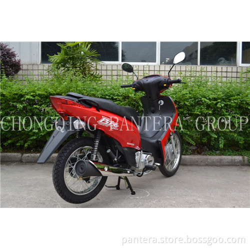 MOTORCYCLE SM110-18